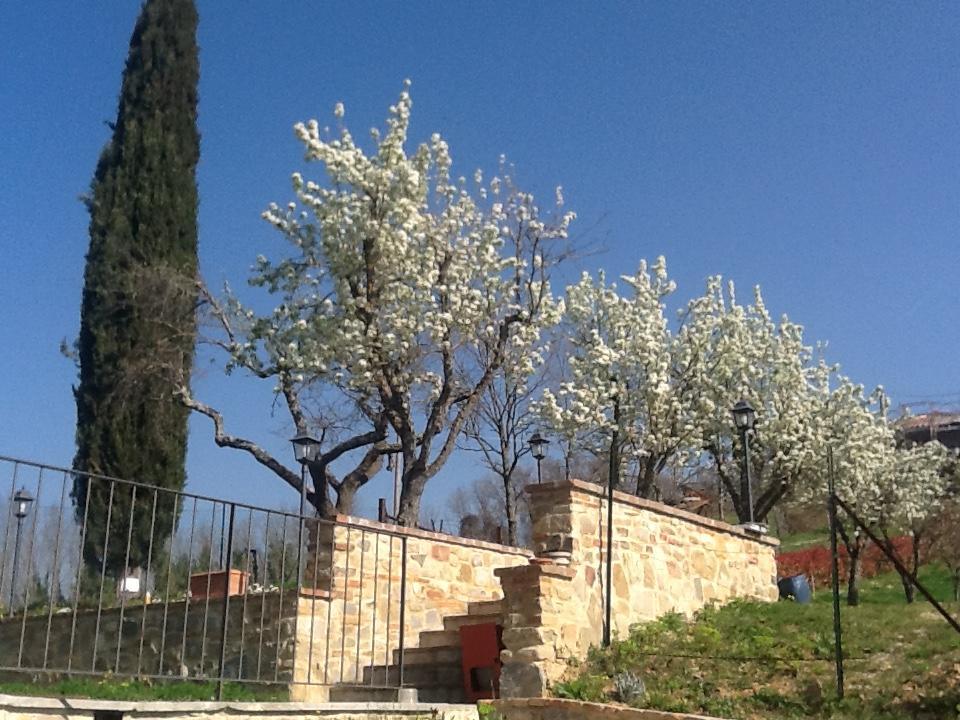 Casatorta Bed and Breakfast Vicchio Εξωτερικό φωτογραφία